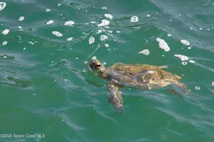 213 E Grant Ave, Cocoa Beach, FL 32931 - Photo 57