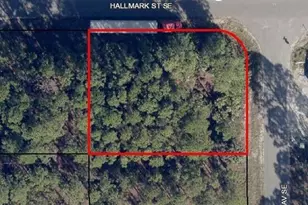 3200 Hainlin (Cor Hallmark) Ave SE, Palm Bay, FL 32909 - Photo 1