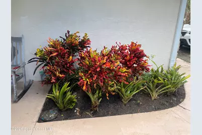 1624 S Daytona Avenue, Flagler Beach, FL 32136 - Photo 3