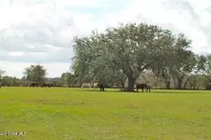 32801 US Hwy 441 Hwy N, Okeechobee, FL 34972 - Photo 85