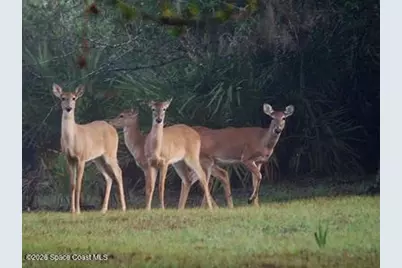 32801 US Highway 441 Highway N #91, Okeechobee, FL 34972 - Photo 63