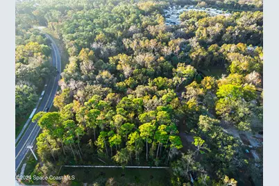 0000 Hammock Trail, Mims, FL 32754 - Photo 3