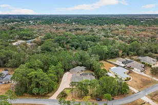 3219 Pheasant Trail, Mims, FL 32754 - Photo 75