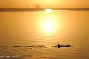 3548 Loggerhead Ln, Mims, FL 32754 - Photo 19