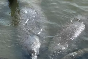 1805 Riverside Dr, Titusville, FL 32780 - Photo 13