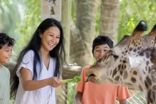 7667 N Wickham Rd, Melbourne, FL 32940 - Photo 31