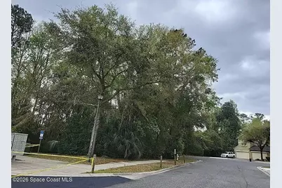 12256 Black Walnut Court, Jacksonville, FL 32226 - Photo 5