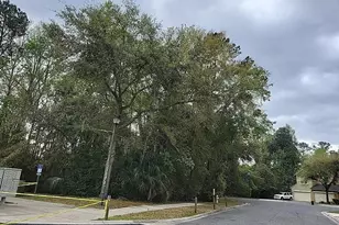 12256 Black Walnut Ct, Jacksonville, FL 32226 - Photo 5