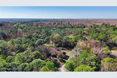 12385 79th Street, Fellsmere, FL 32948 - Photo 29