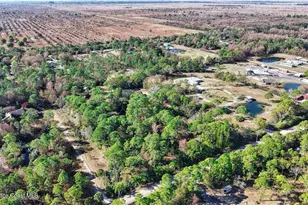 12385 79th St, Fellsmere, FL 32948 - Photo 23