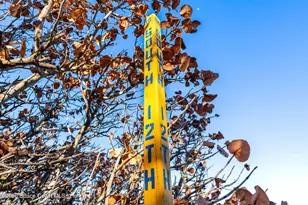 1139 S Brevard Ave, Cocoa Beach, FL 32931 - Photo 33