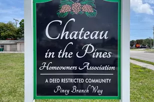 46 Piney Branch Way, Melbourne, FL 32904 - Photo 29