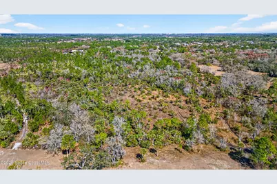 000 Old Mission Road, Malabar, FL 32950 - Photo 15