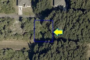 776 Sandpiper Street SW, Palm Bay, FL 32908 - Photo 1