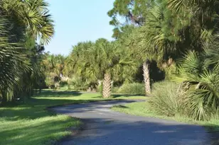 975 Shiloh Dr, Melbourne, FL 32940 - Photo 55