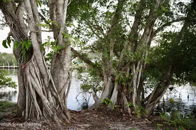 124 Aucila Road, Cocoa Beach, FL 32931 - Photo 55