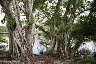 124 Aucila Rd, Cocoa Beach, FL 32931 - Photo 55