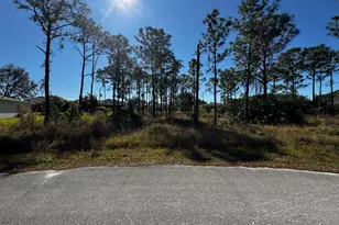 2497 Palmarita St SE, Palm Bay, FL 32909 - Photo 1