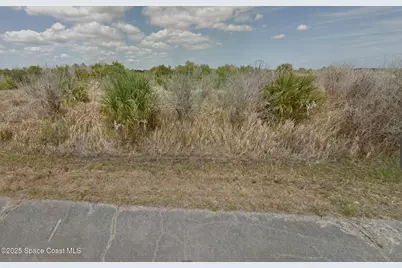 1517 Conistan Street SW, Palm Bay, FL 32908 - Photo 1