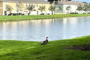 2600 Revolution St, Melbourne, FL 32935 - Photo 23