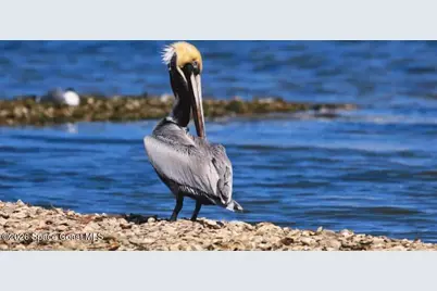 7755 105th Avenue, Vero Beach, FL 32967 - Photo 21