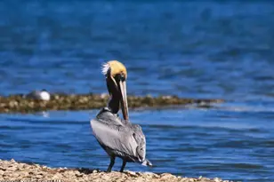 7755 105th Ave, Vero Beach, FL 32967 - Photo 21