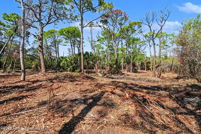 Tbd Via Roma, Merritt Island, FL 32952 - Photo 19