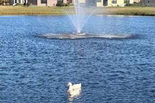 7351 Amethyst Ave, Grant-Valkaria, FL 32949 - Photo 33