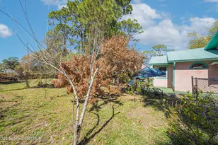 4265 Alpine Ln, Titusville, FL 32796 - Photo 17