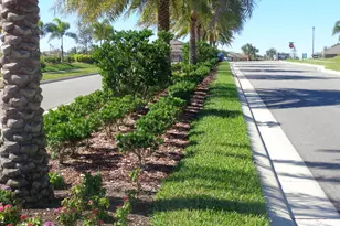 411 Cougar St, Cocoa, FL 32927 - Photo 53