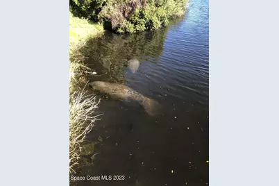 2240 Enjoya Lane, Melbourne, FL 32901 - Photo 37