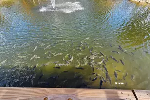 3375 Hield Rd, Melbourne, FL 32904 - Photo 35