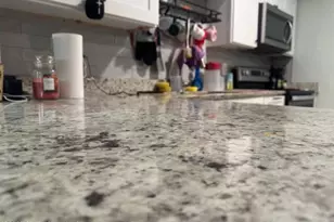 624 Church St, West Melbourne, FL 32904 - Photo 5