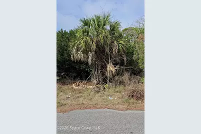 330 Iris Street, Cocoa, FL 32927 - Photo 3