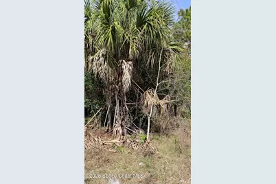 330 Iris Street, Cocoa, FL 32927 - Photo 7