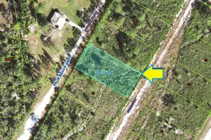 0 Fort Myers Rd, Indian Lake Estates, FL 33855 - Photo 1