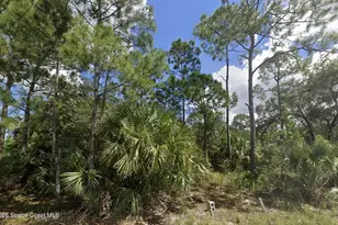 3081 Tinley Rd SE, Palm Bay, FL 32909 - Photo 1