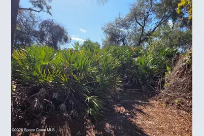 770 Montrose Street SE, Palm Bay, FL 32909 - Photo 7