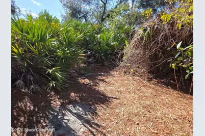 770 Montrose Street SE, Palm Bay, FL 32909 - Photo 5