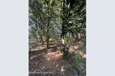 4 Lots Unknown Street SE, Palm Bay, FL 32909 - Photo 11
