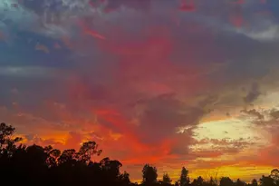 2630 Waring Ln, Malabar, FL 32950 - Photo 15