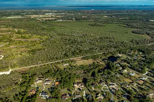 5025 Fawn Lake Blvd, Mims, FL 32754 - Photo 61