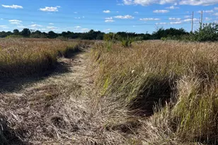 2710 Widmer Ave SW, Palm Bay, FL 32908 - Photo 3