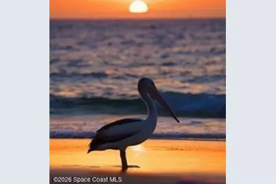 753 Spring Valley Drive, Melbourne, FL 32940 - Photo 87