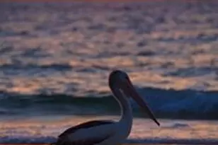 753 Spring Valley Dr, Melbourne, FL 32940 - Photo 87