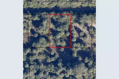 734 Burgess Street SW, Palm Bay, FL 32908 - Photo 1