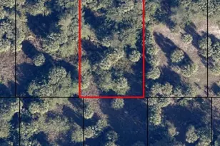 734 Burgess Street SW, Palm Bay, FL 32908 - Photo 1