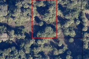 742 Burgess Street SW, Palm Bay, FL 32908 - Photo 1