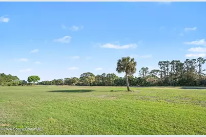 3520 Burrowing Owl Drive, Mims, FL 32754 - Photo 29