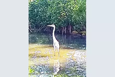 200 S Banana River Boulevard #2310, Cocoa Beach, FL 32931 - Photo 55